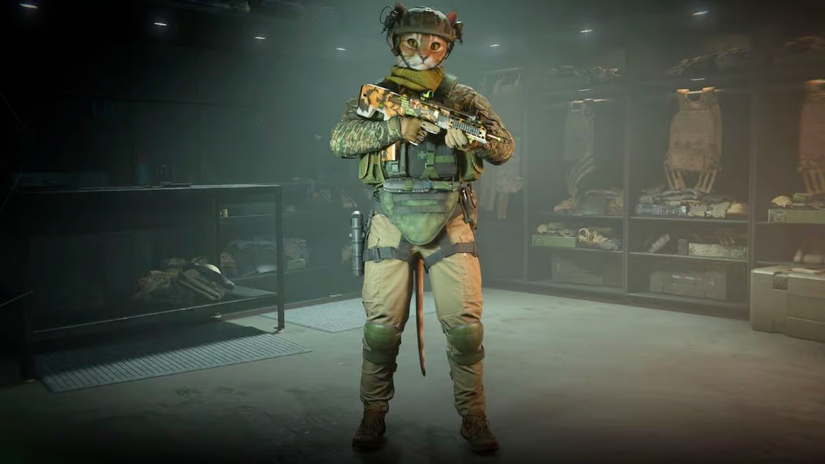 Ein als orangefarbener Katze mit einem Sturmgewehr in Call of Duty: Modern Warfare 2 verkleideter Betreiber